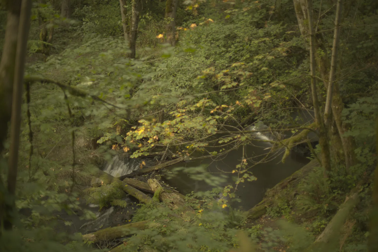 Waterfall Right View