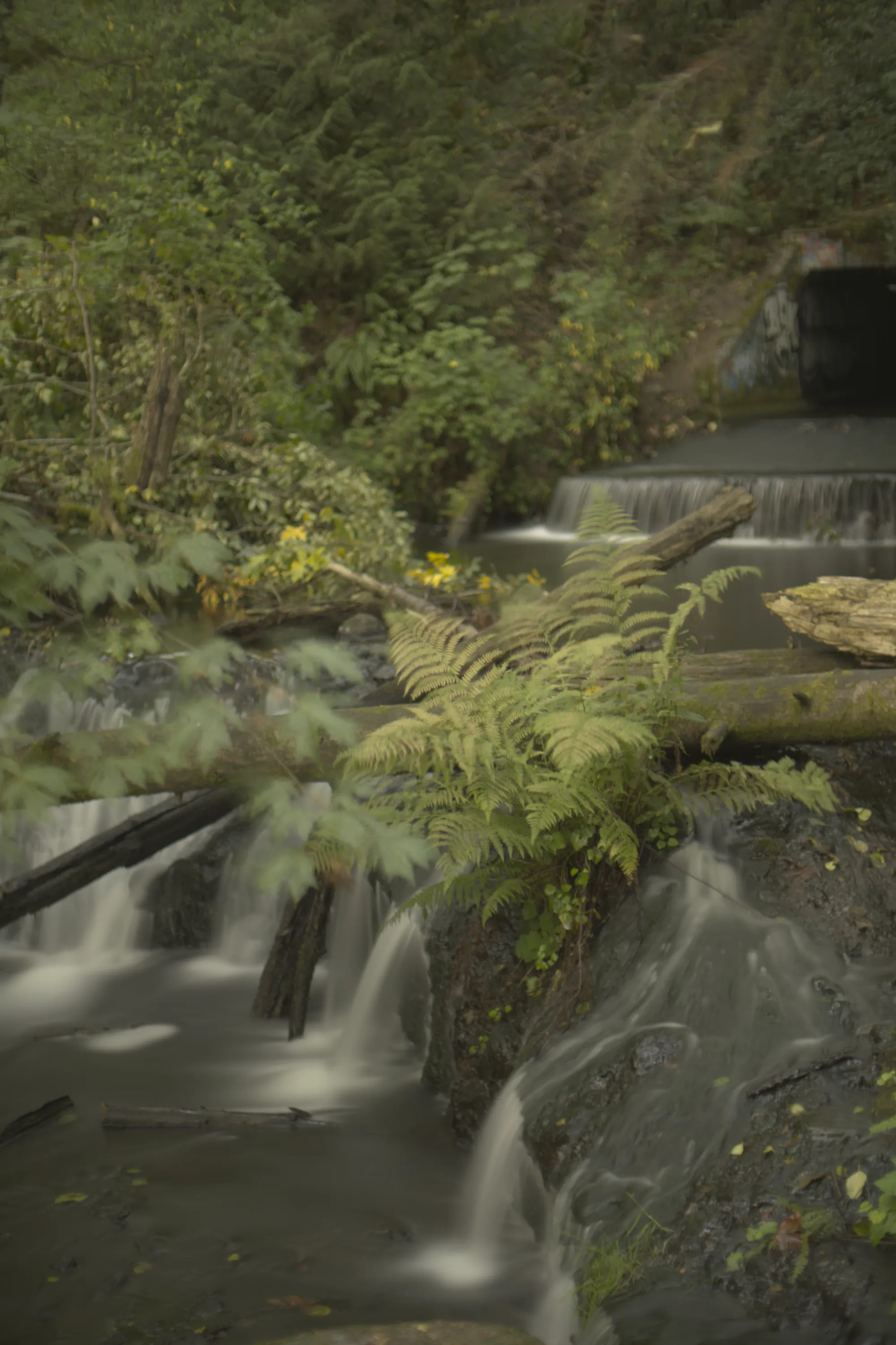 Waterfall Right View