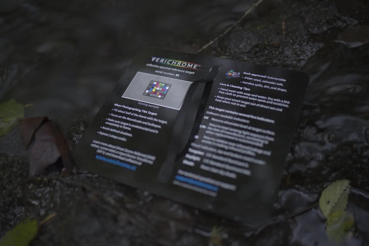 Target Back Left View