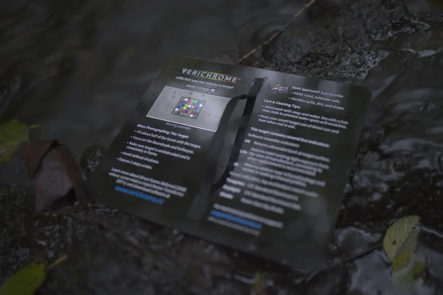 Target Back Right View