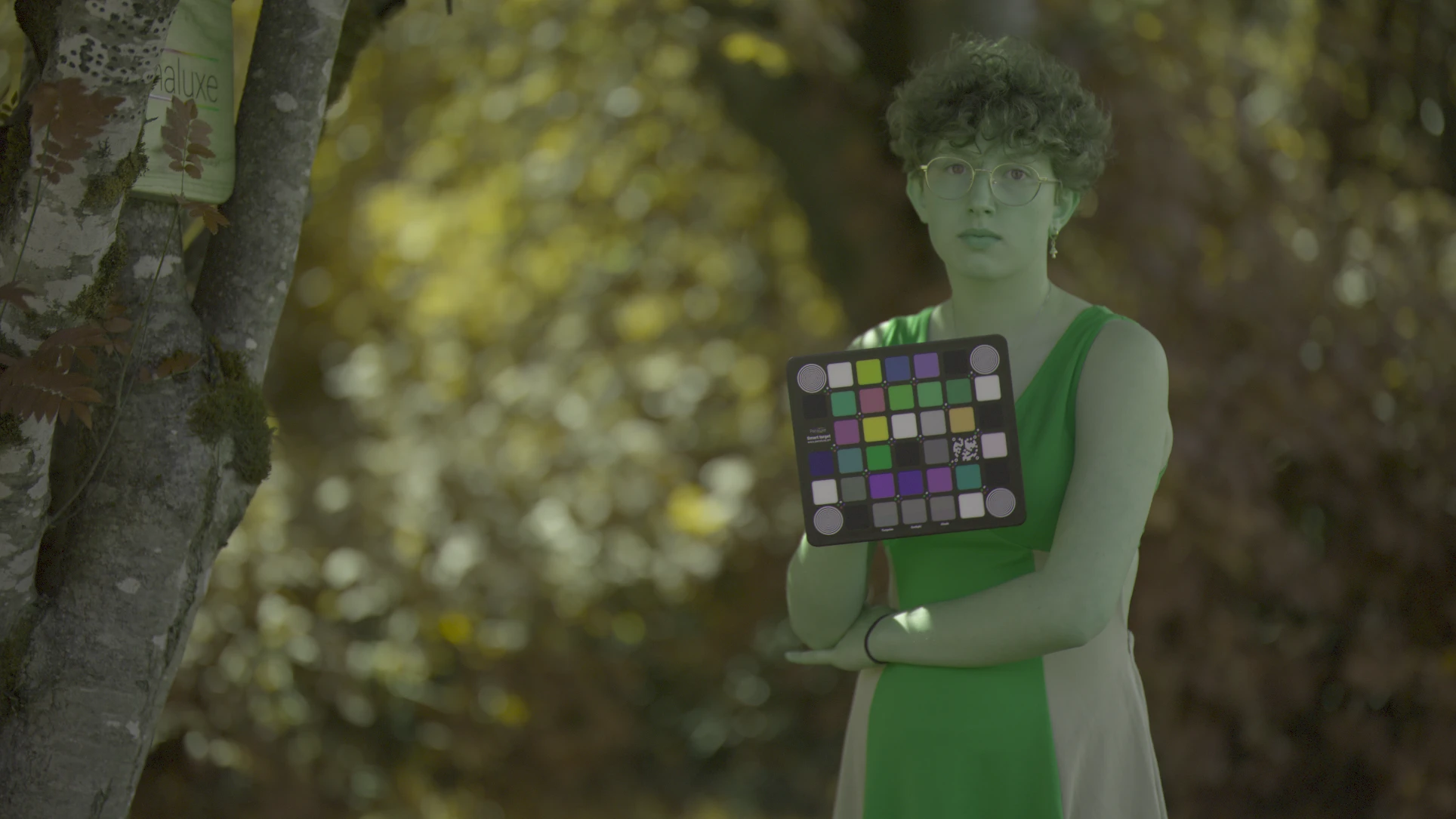 Portrait of person holding the Smart colour target